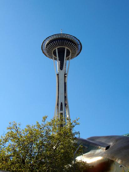 Needle 02144.jpg